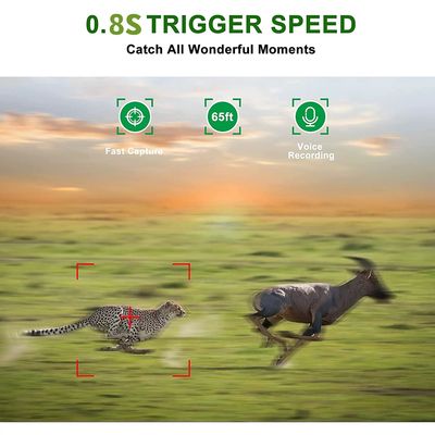 2.0" Hunter Trail Camera Outdoor Wildlife Video Camera micro sd 128gb